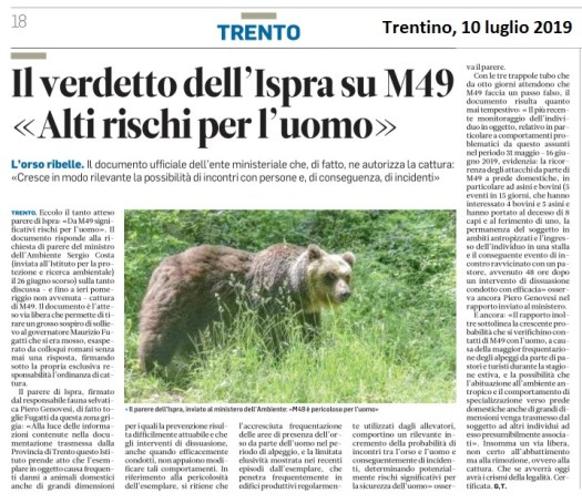 20190710_giudizio che condanna orso (2)