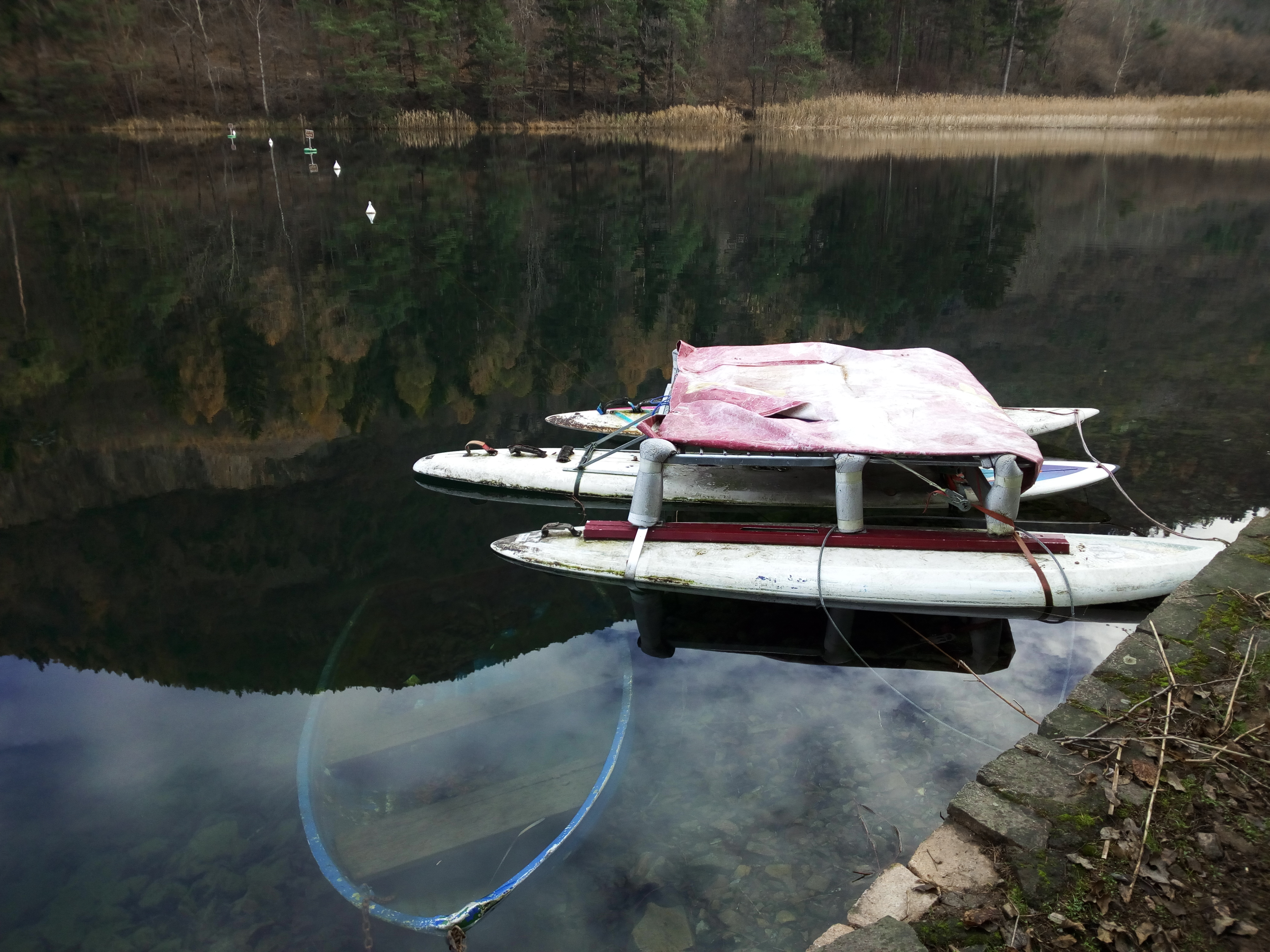 20181202 Biotopo lago Lases.jpg