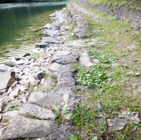 trattp pietra lago.png